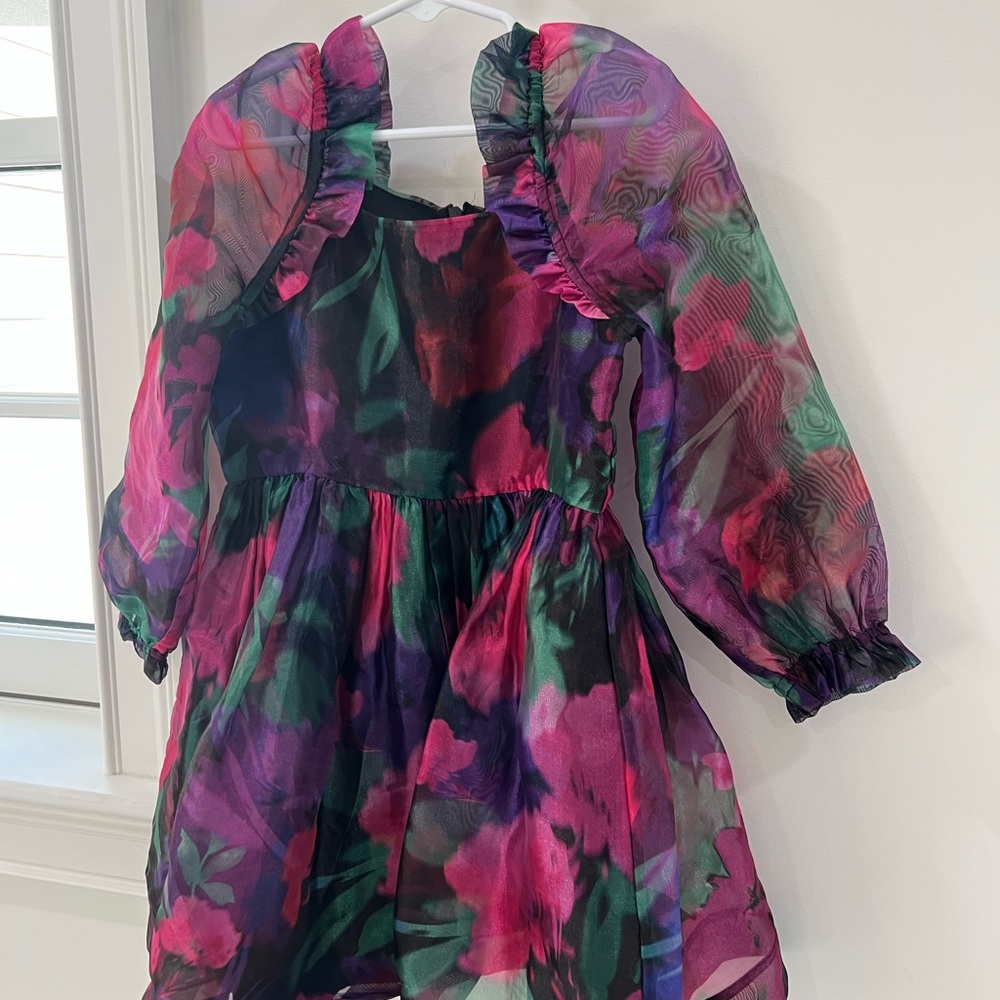 JCREW Floral Dress with Sheer Sleeves